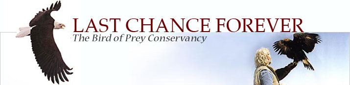 Last Chance Forever: The Bird of Prey Conservancy